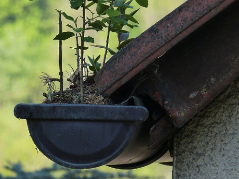 Gutter Cleaning & Repair